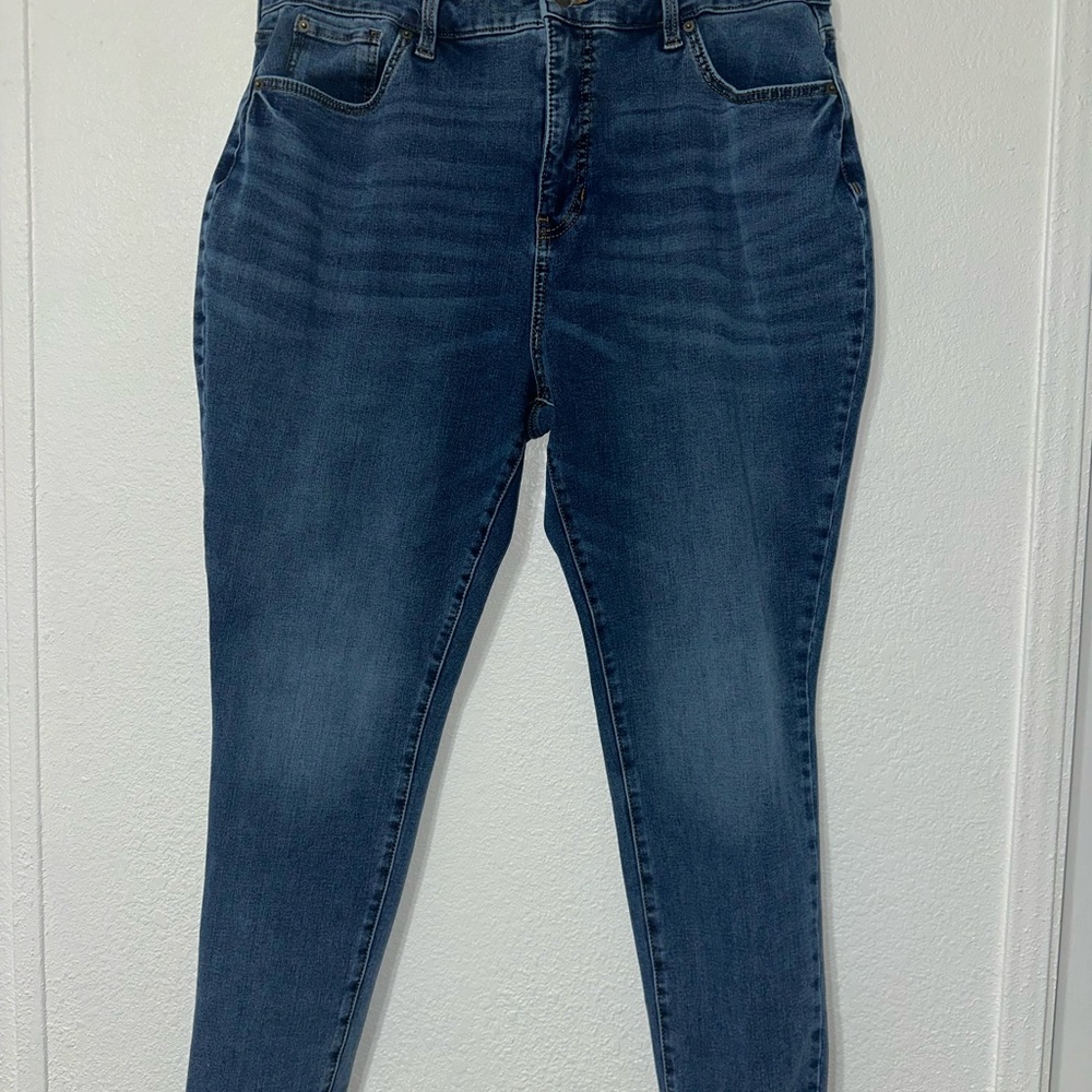 Time and Tru 18 Regular High Rise Curvy Skinny Jeans